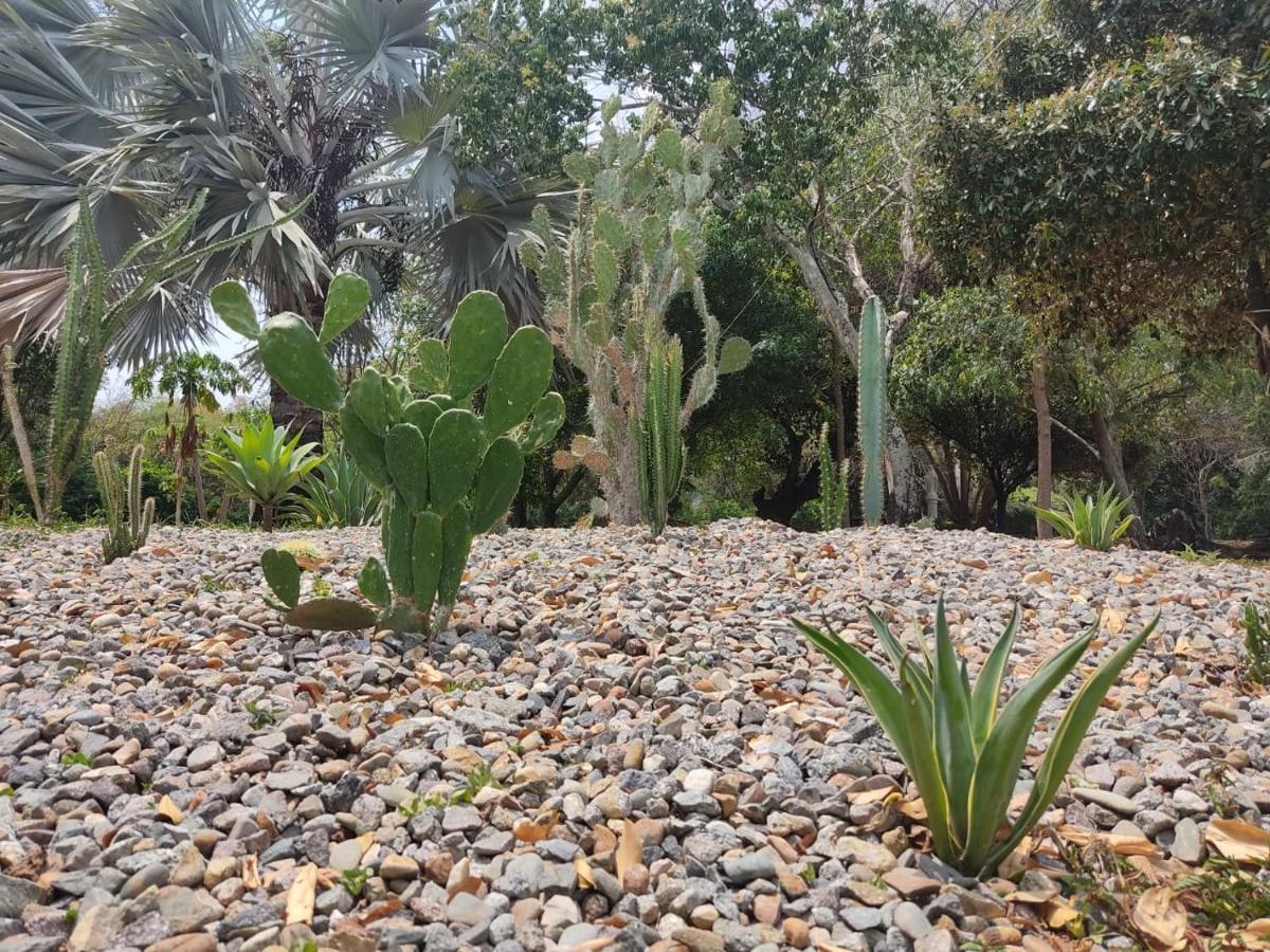 Arizona Ranch Hotel Girardot Dış mekan fotoğraf