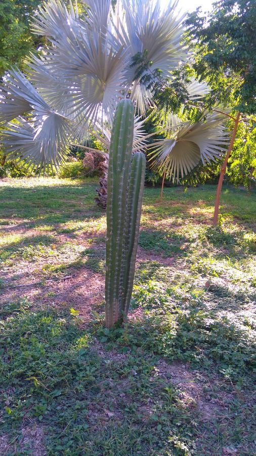 Arizona Ranch Hotel Girardot Dış mekan fotoğraf